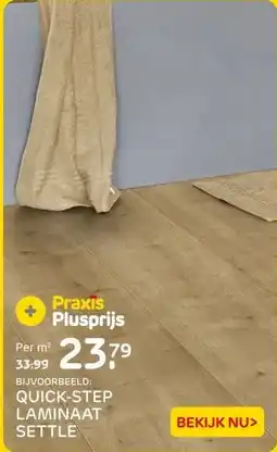 Praxis QUICK-STEP LAMINAAT SETTLE aanbieding