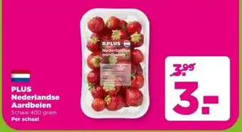 PLUS PLUS Nederlandse Aardbeien aanbieding