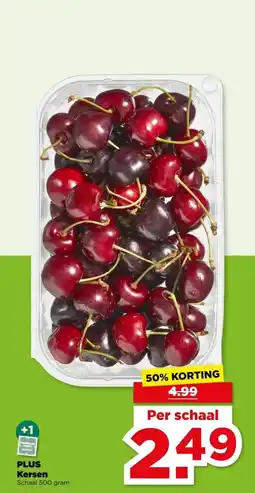 PLUS PLUS Kersen aanbieding