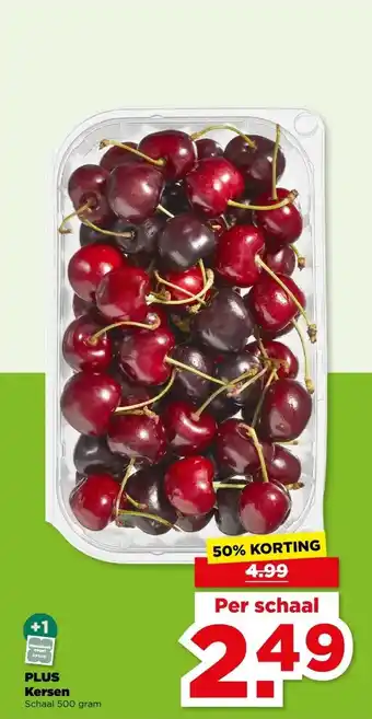 PLUS PLUS Kersen aanbieding
