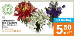 Albert Heijn AH Hollandse lelie of eustoma aanbieding