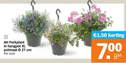 Albert Heijn AH Perkplant in hangpot XL aanbieding