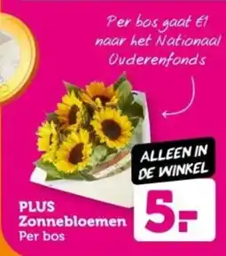Coop Plus zonnebloemen aanbieding