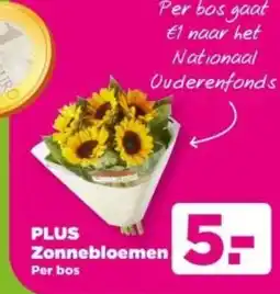 PLUS PLUS Zonnebloemen aanbieding