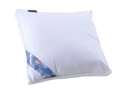 TotaalBED Hoofdkussen Lara ecodown/airolite | aanbieding