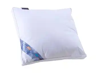 TotaalBED Hoofdkussen Lara ecodown/airolite | aanbieding