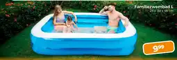 Trekpleister Familiezwembad L aanbieding
