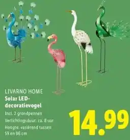 Lidl Solar LED- decoratievogel aanbieding