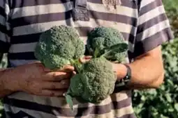 Ekoplaza Broccoli aanbieding