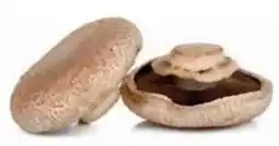 Ekoplaza Puur NL Portobello aanbieding