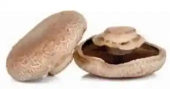 Ekoplaza Puur NL Portobello aanbieding