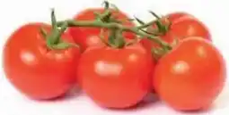Ekoplaza Tros tomaten aanbieding