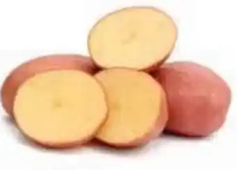 Ekoplaza Rode alouette aardappelen aanbieding