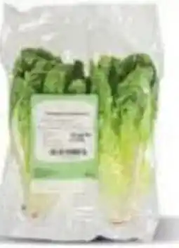 Ekoplaza Bindsla little gem aanbieding