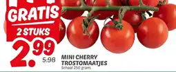Dekamarkt MINI CHERRY TROSTOMAATJES aanbieding