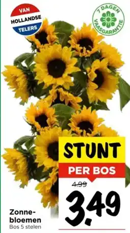 Vomar Voordeelmarkt Zonne bloemen aanbieding
