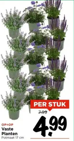Vomar Voordeelmarkt Vaste Planten aanbieding