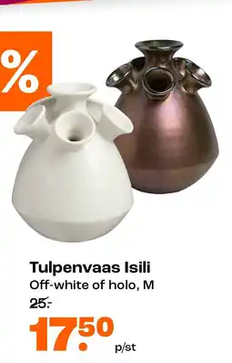 Kwantum Tulpenvaas Isili aanbieding