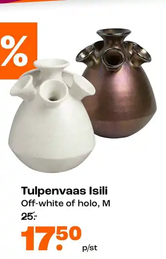 Kwantum Tulpenvaas Isili aanbieding