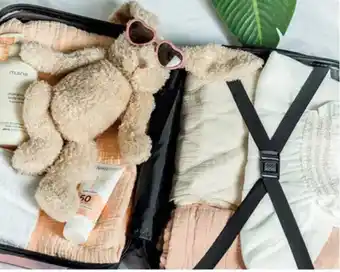 Babypark Puck kinderkoffer Rose aanbieding