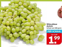 Hoogvliet Witte pitloze druiven aanbieding