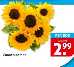 Hoogvliet Zonnebloemen aanbieding
