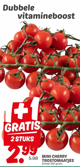 Dekamarkt Mini cherry trostomaatjes aanbieding