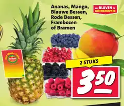 Nettorama Ananas, Mango, Blauwe Bessen, Rode Bessen, Frambozen of Bramen aanbieding