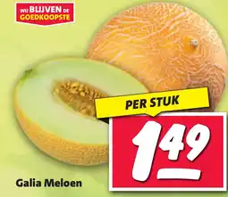 Nettorama Galia Meloen aanbieding