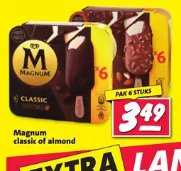 Nettorama Magnum classic of almond aanbieding