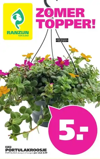 Ranzijn Portulakroosje Portulaca aanbieding