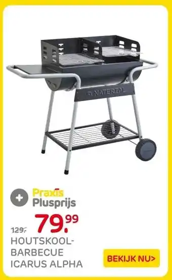 Praxis HOUTSKOOL- BARBECUE ICARUS ALPHA aanbieding