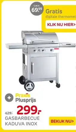 Praxis GASBARBECUE KADUVA INOX aanbieding