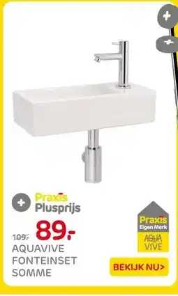 Praxis AQUAVIVE FONTEINSET SOMME aanbieding