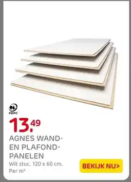 Praxis AGNES WAND- EN PLAFOND- PANELEN aanbieding