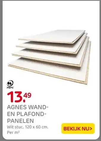 Praxis AGNES WAND- EN PLAFOND- PANELEN aanbieding