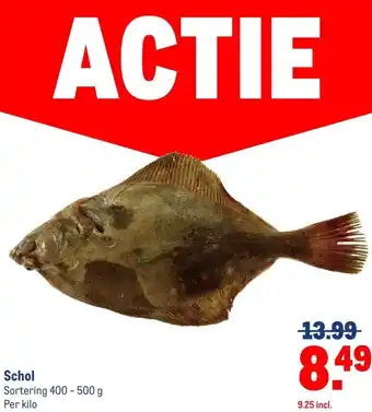 Makro Schol aanbieding