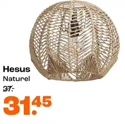 Kwantum Hesus Naturel aanbieding