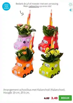Intratuin Arrangement schoolbus met Kalanchoë aanbieding