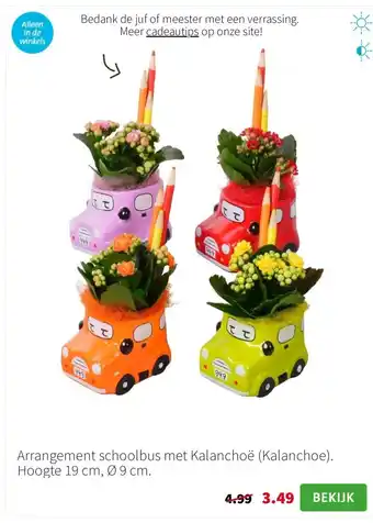Intratuin Arrangement schoolbus met Kalanchoë aanbieding