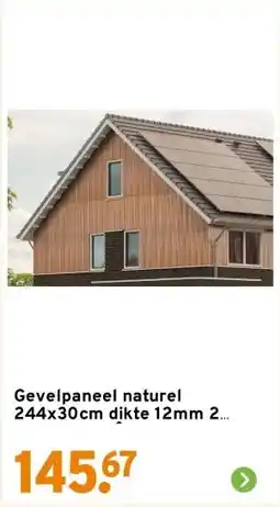 GAMMA Gevelpaneel naturel 244x30cm dikte 12mm 2 stuks 1,64 m² aanbieding