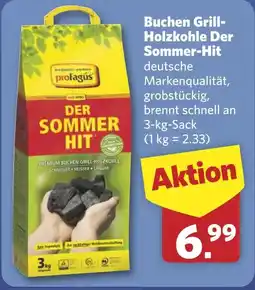 Combi Buchen Grill- Holzkohle Der Sommer-Hit aanbieding