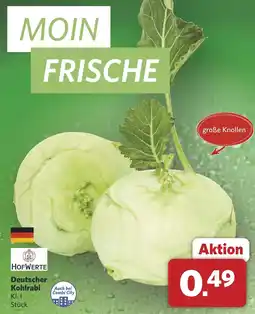 Combi Deutscher Kohlrabi aanbieding
