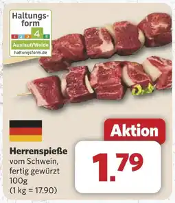 Combi Herrenspieße aanbieding