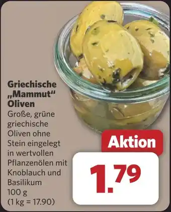 Combi Griechische ,,Mammut Oliven aanbieding