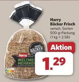 Combi Harry Bäcker Frisch aanbieding