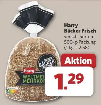 Combi Harry Bäcker Frisch aanbieding