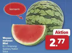 Combi Wasser- melonen Mini aanbieding