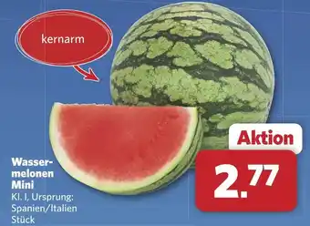 Combi Wasser- melonen Mini aanbieding