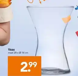 Blokker Vaas aanbieding